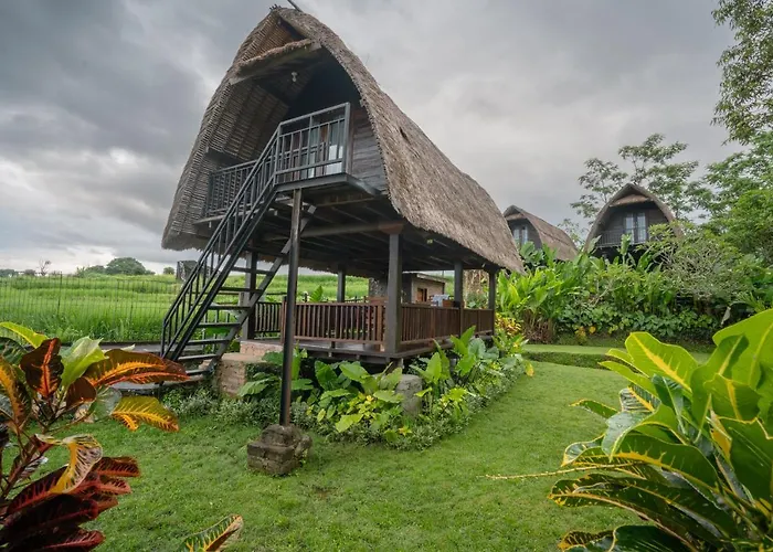 The Tetamian Bali